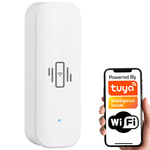 Inteligentny Czujnik Drgań Wibracji WiFi Tuya