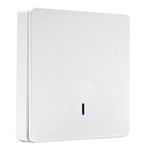 Pilot natynkowy 1 kanałowy RF433.92 MHz