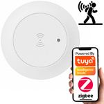 Ceiling Motion & Light Sensor 24GHz | ZigBee | TUYA Smart