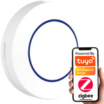 Inteligentny Pilot 1 przycisk 3 programy akcje ZigBee TUYA