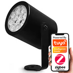 Lampa zewnętrzna RGBCCT IP66 230V ZigBee HUE TUYA