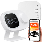 Smart Thermostat SPLIT Boiler Furnace Pump Actuators Heating WiFi TUYA