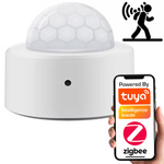 Mini PIR Motion Presence & Brightness Sensor ZigBee TUYA