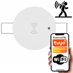 Czujnik obecności 24GHz jasności Wpuszczany w sufit WiFi TUYA